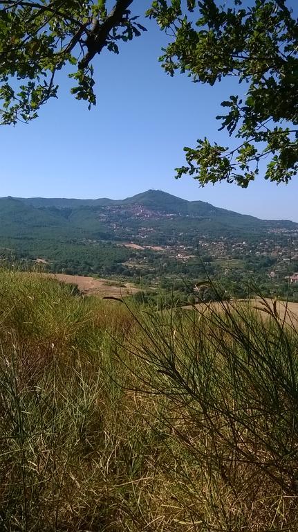 B&B Il Pantanello Рокка-ди-Папа Экстерьер фото
