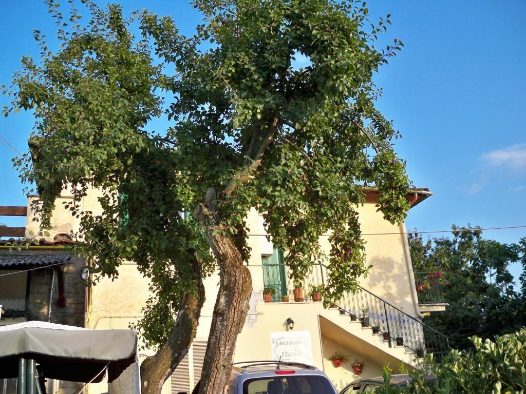 B&B Il Pantanello Рокка-ди-Папа Экстерьер фото